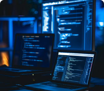 Website development